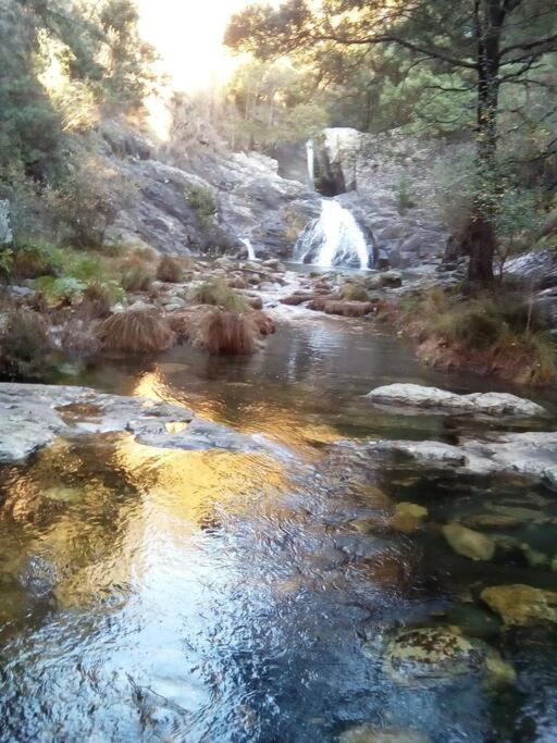 Viana Do Castelo - Village -casa A * Relax Holiday home Amonde