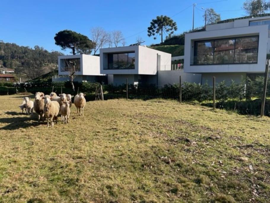 Viana Do Castelo - Village -casa A * Relax Holiday home Amonde